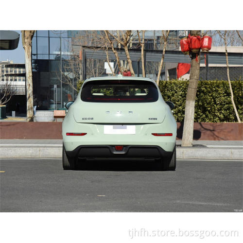2023 ORA Good Cat 401 km Ternary Litio Batteria a 5 sedili Berlina elettrica